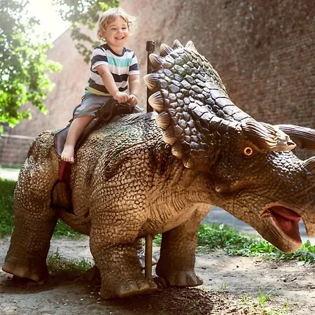 Ket Diofa Vendeghaz 3*