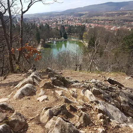 Ket Diofa Vendeghaz Casa de hóspedes Felsőtárkány