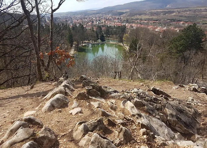 Ket Diofa Vendeghaz 게스트하우스 Felsőtárkány